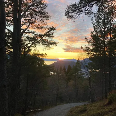 Petersstova Lägenhet *